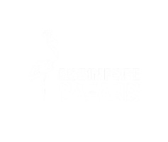 Robin Pope Safaris